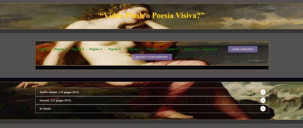 “Video Flash”  (2014)