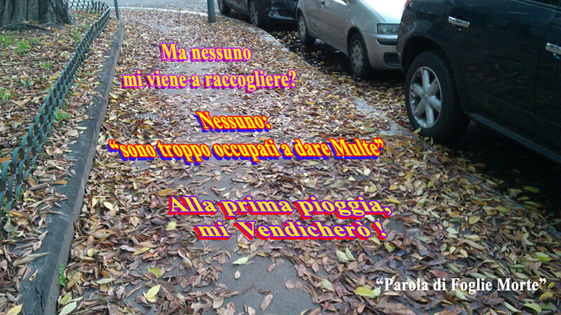 Parola-di-Foglie-Morte-